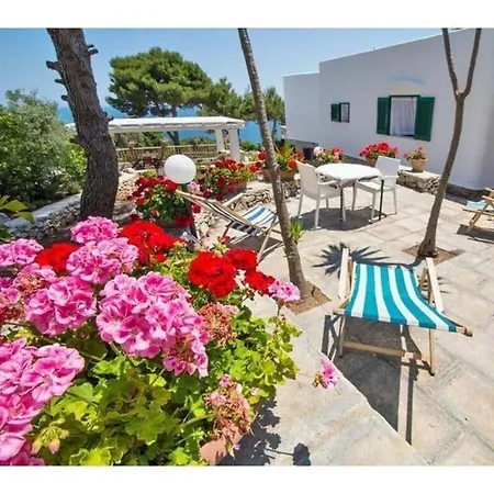 Charming Scarnera