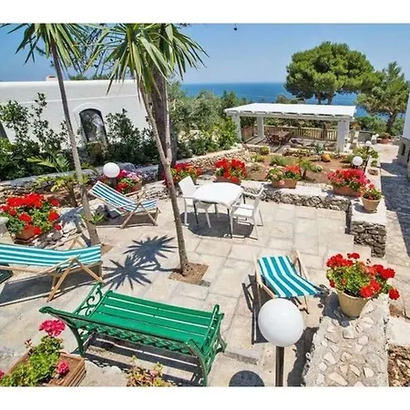 Charming Scarnera *