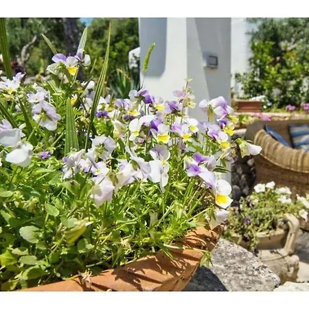 Charming Scarnera Willa Corsano (Apulia)